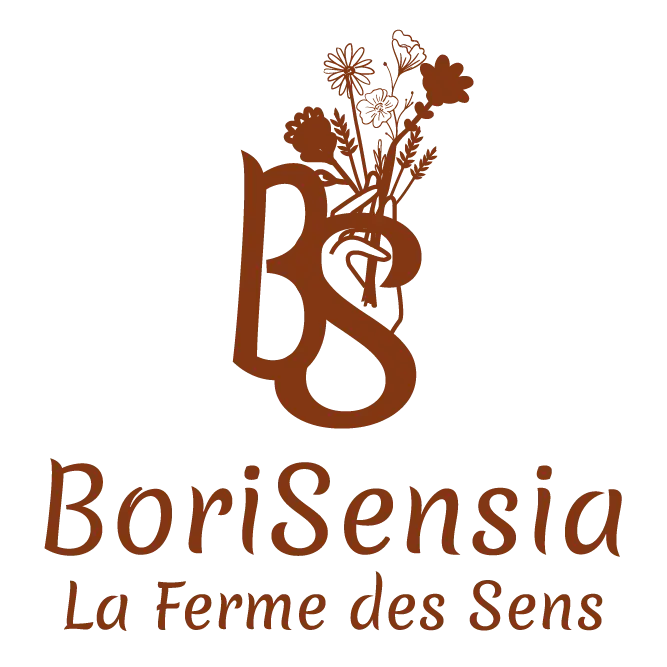 My Website